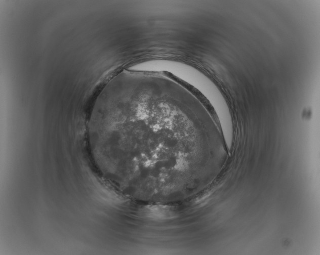 X0000091960367200709201348