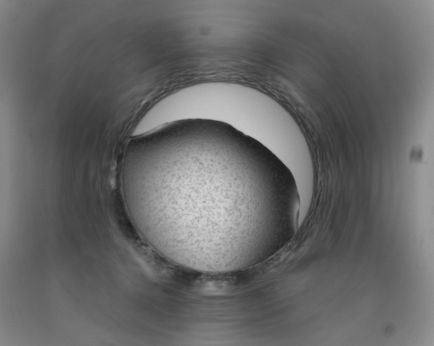 X0000091960368200709201348