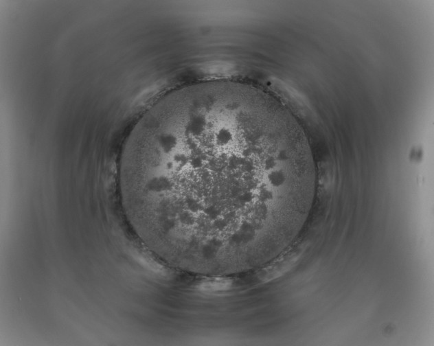 X0000091960369200709201348