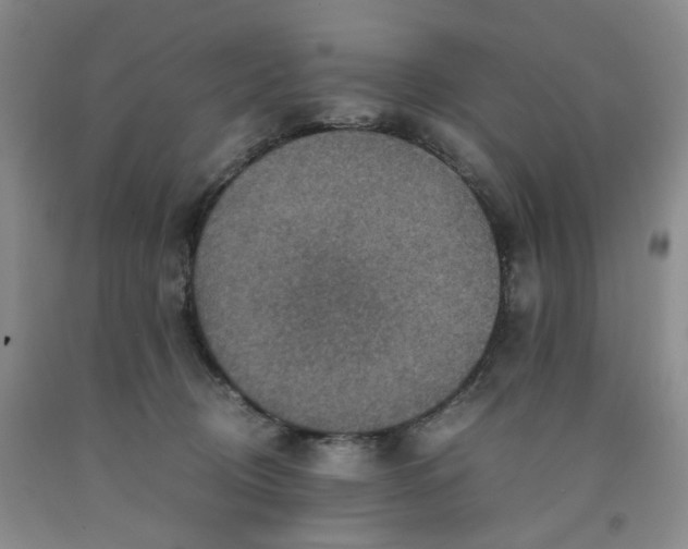 X0000091960370200709201348