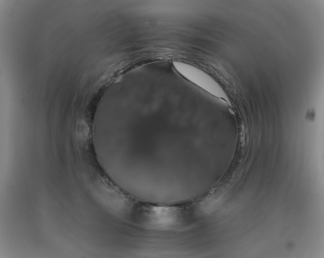 X0000091960371200709201348