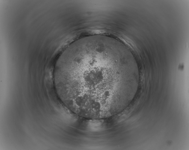 X0000091960373200709201348