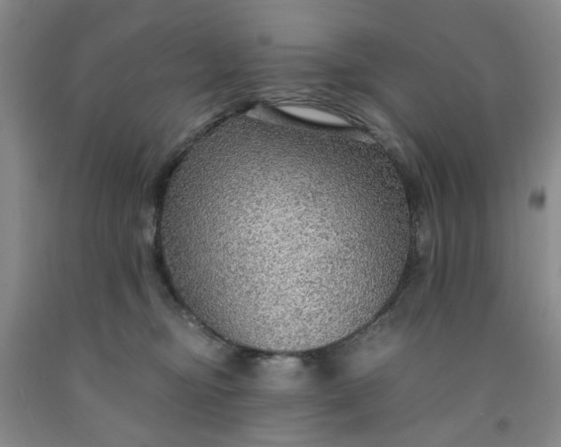 X0000091960374200709201348