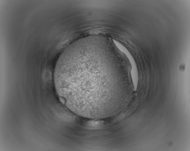 X0000091960375200709201348