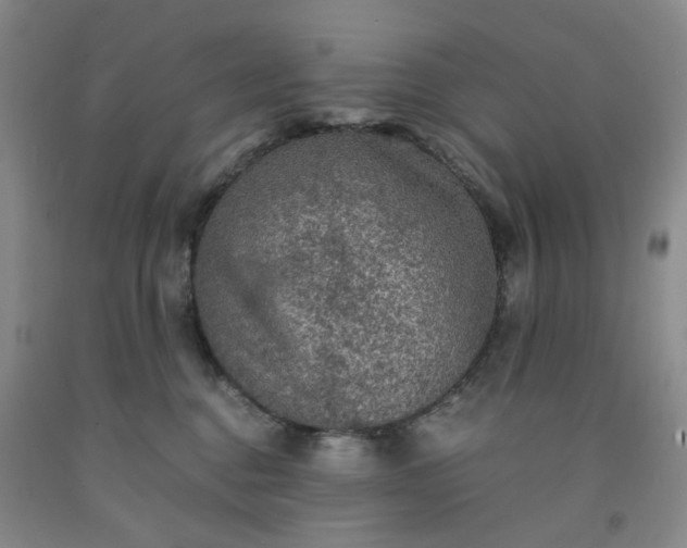 X0000091960376200709201349