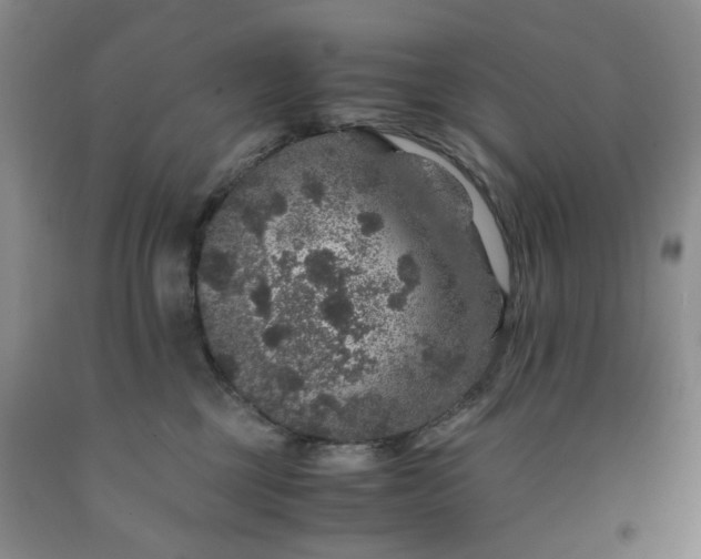 X0000091960377200709201349