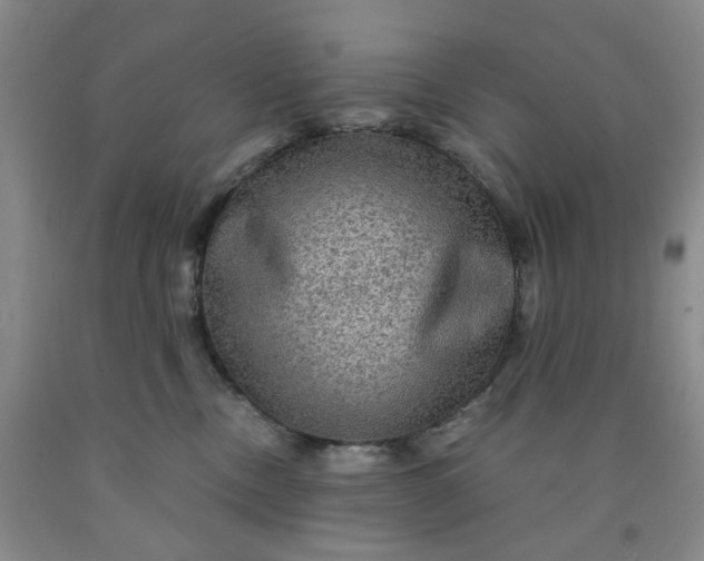 X0000091960378200709201349