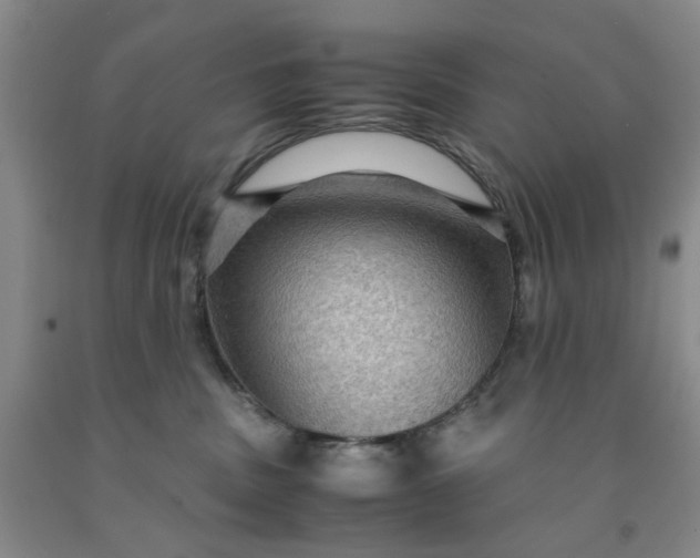 X0000091960379200709201349