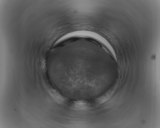 X0000091960380200709201349