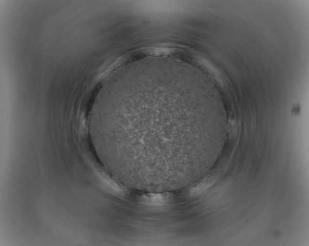 X0000091960381200709201349