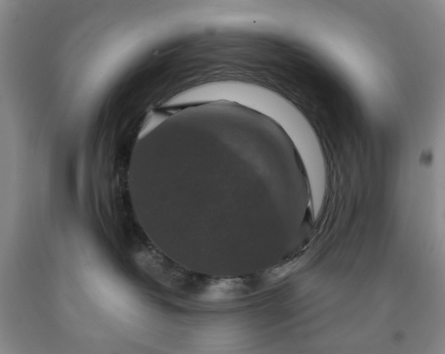 X0000091960382200709201349