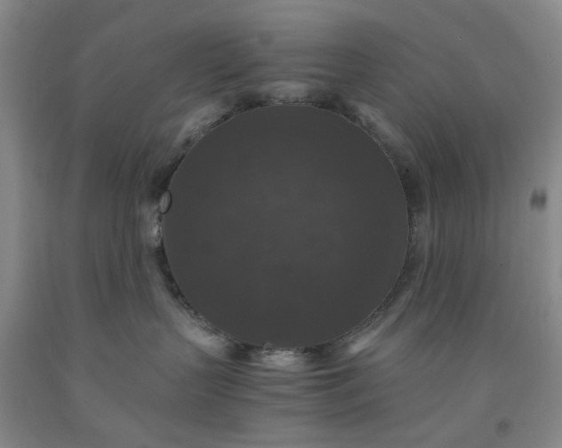 X0000091960383200709201349