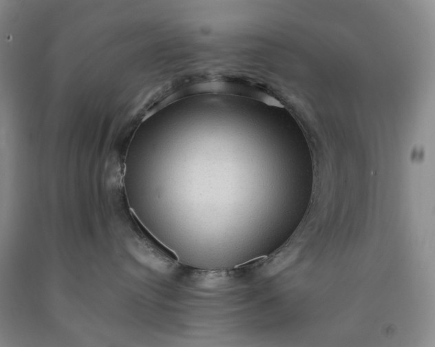 X0000091960384200709201349