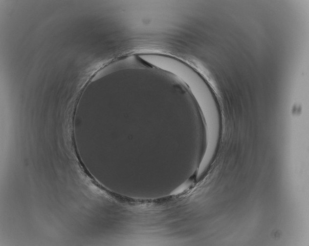 X0000091960385200709201348