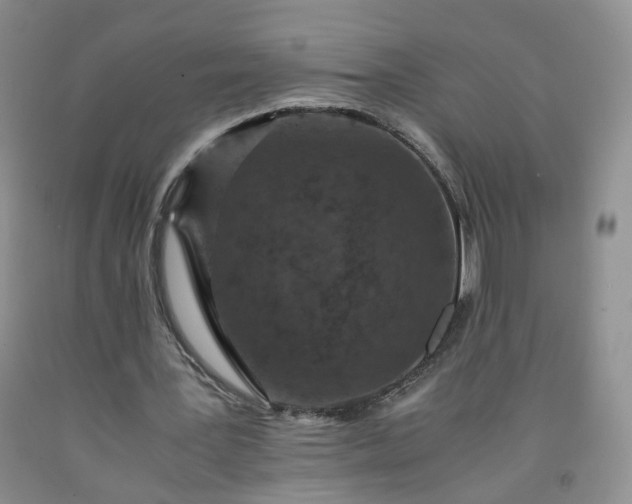 X0000091960387200709201348