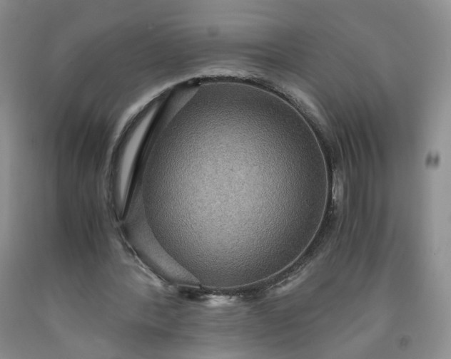 X0000091960388200709201348