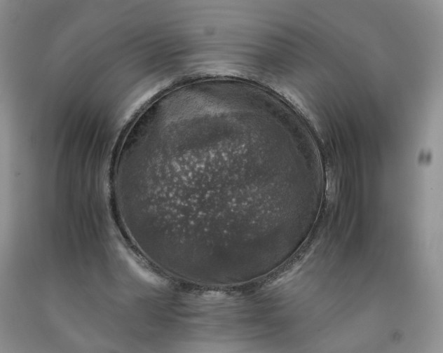 X0000091960390200709201348