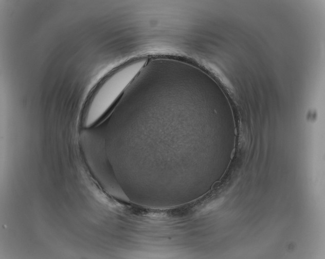 X0000091960391200709201348