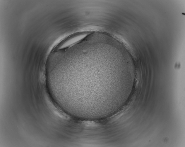 X0000091960392200709201348