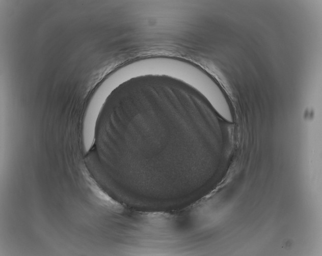 X0000091960393200709201348