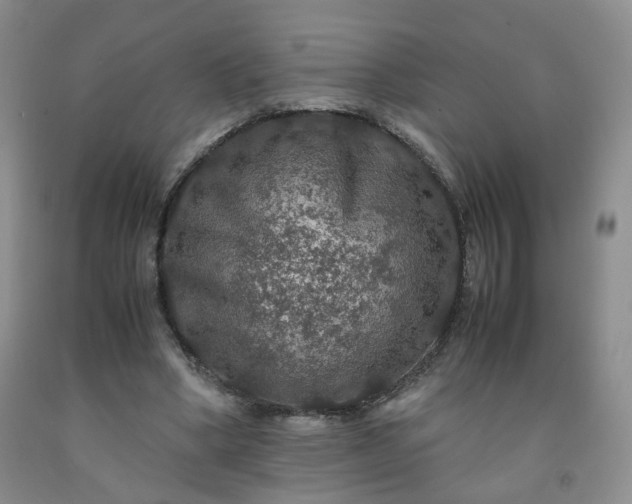 X0000091960394200709201348