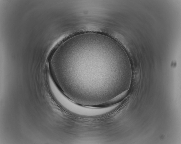 X0000091960395200709201348