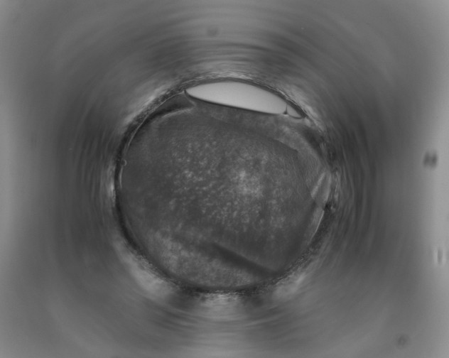 X0000091960398200709201348