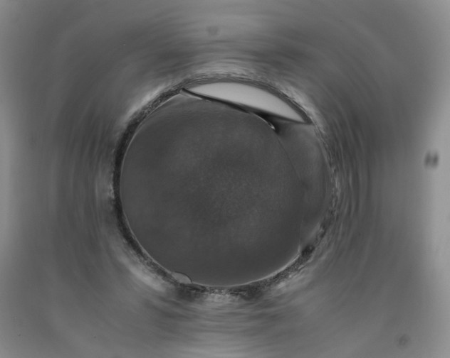 X0000091960399200709201348