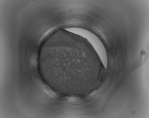 X0000091960400200709201348