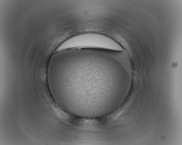 X0000091960401200709201348