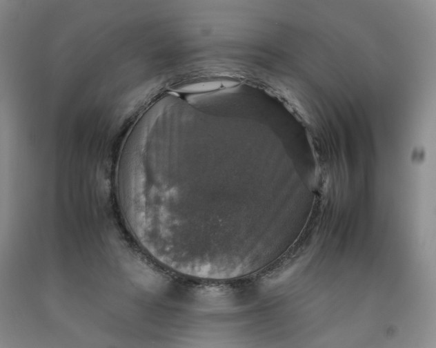 X0000091960402200709201348