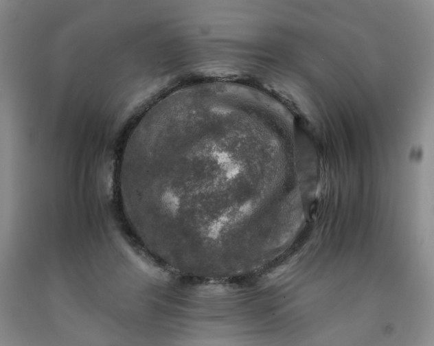 X0000091960404200709201348