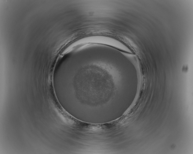 X0000091960405200709201348