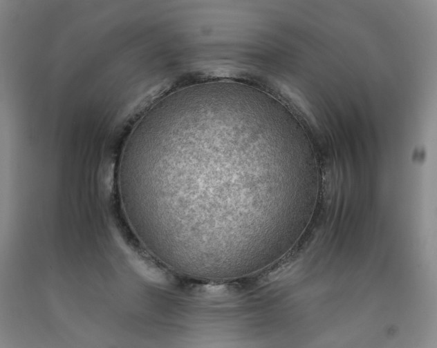 X0000091960406200709201348