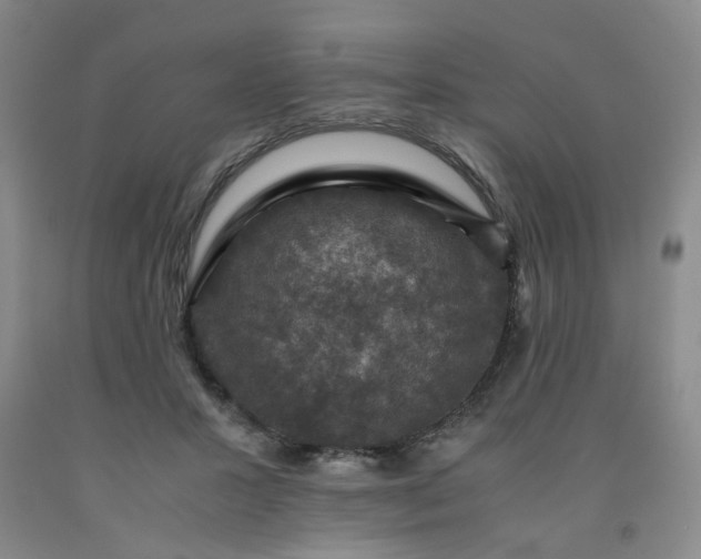 X0000091960407200709201348