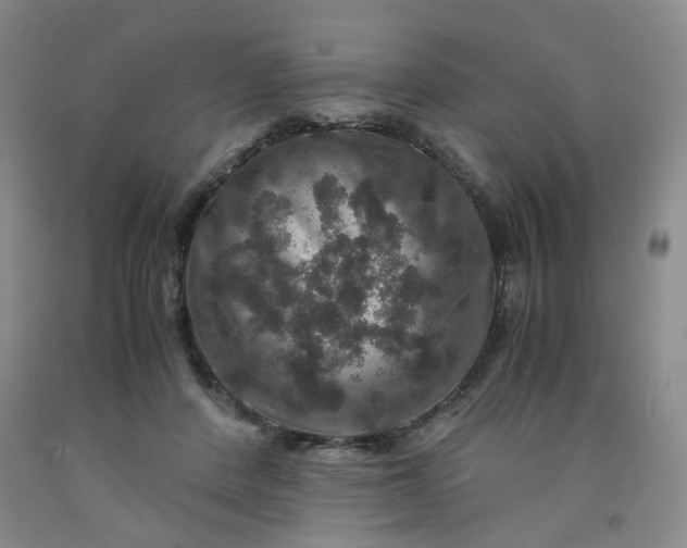 X0000091960408200709201348