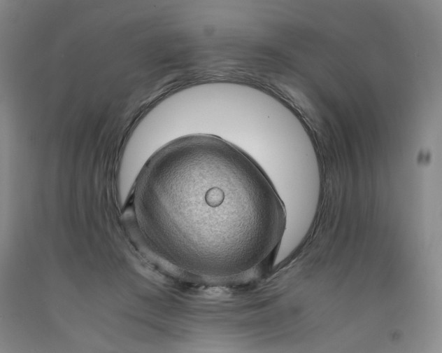 X0000091960409200709201348