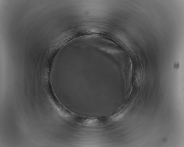 X0000091960410200709201348