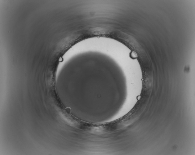 X0000091960411200709201348