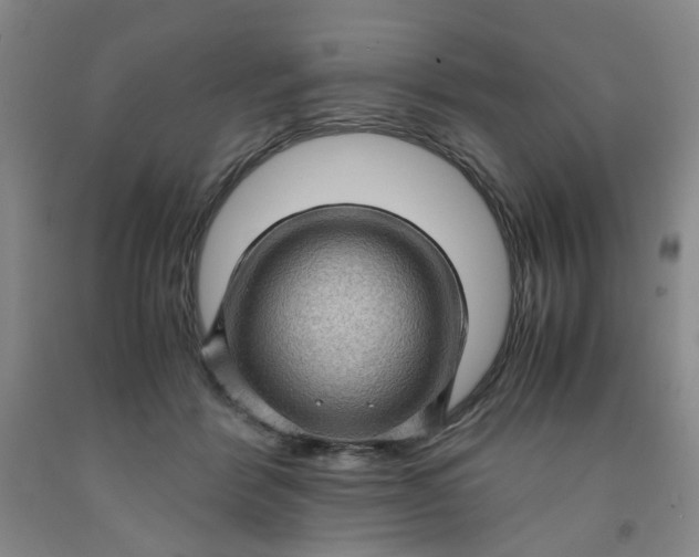 X0000091960412200709201348