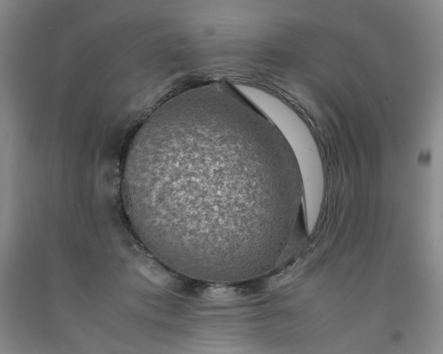 X0000091960413200709201348