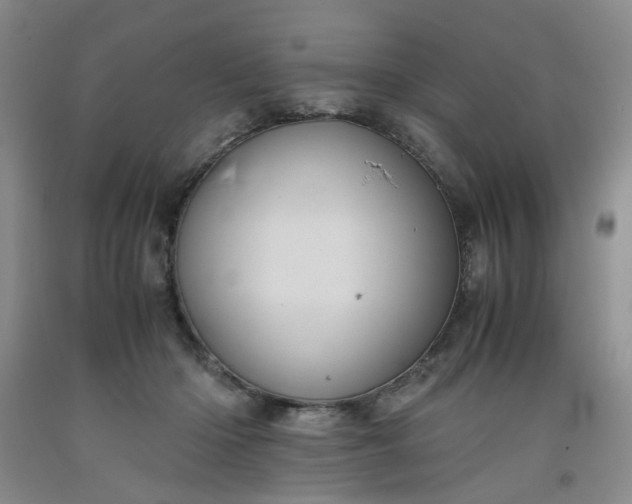 X0000091960414200709201348