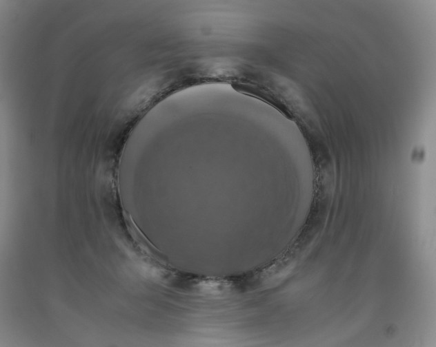 X0000091960415200709201348