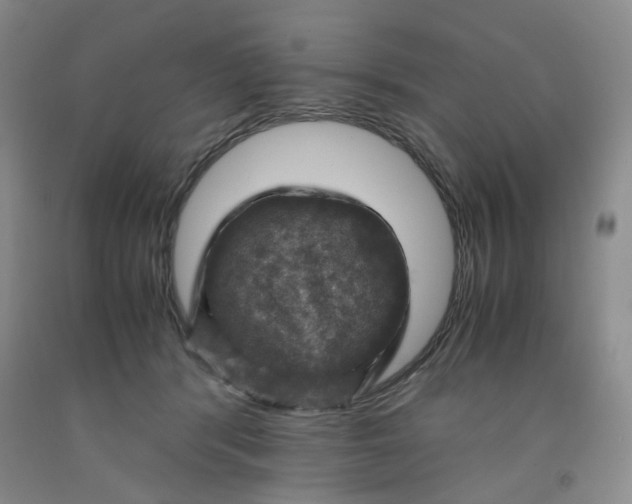 X0000091960416200709201348