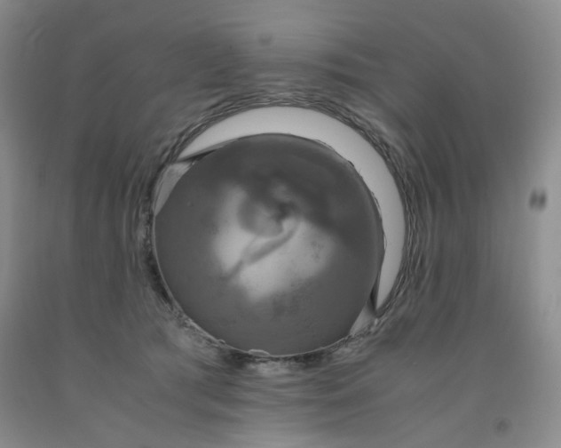 X0000091960417200709201348