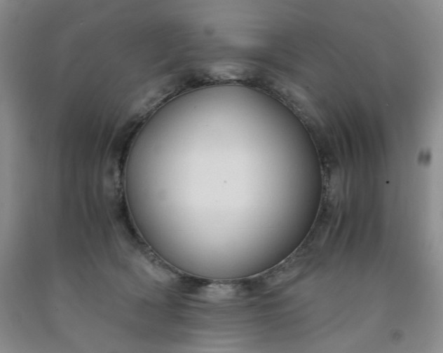 X0000091960418200709201348