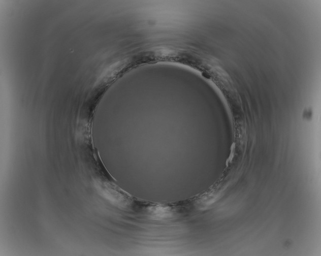 X0000091960419200709201347