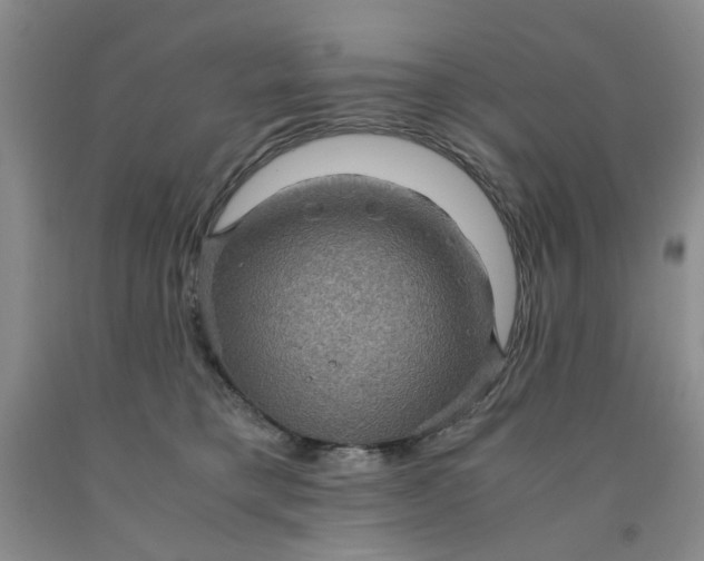 X0000091960421200709201347