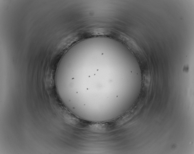 X0000091960422200709201347