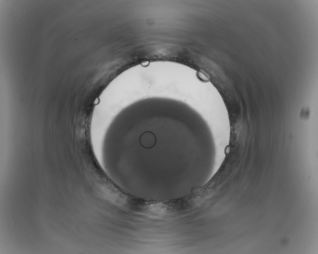 X0000091960423200709201347